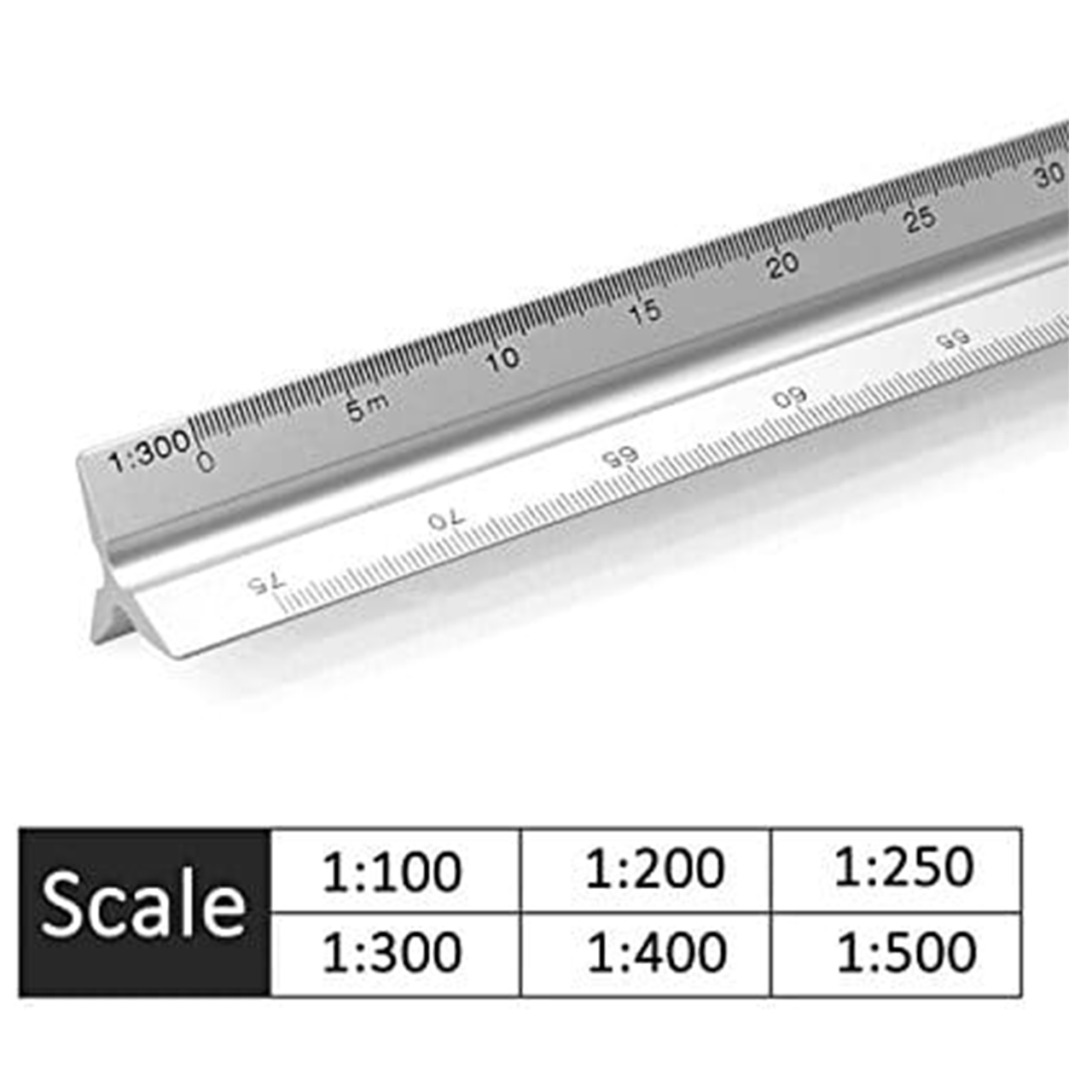 Scale Ruler 30cm 1:100,200 (Huaching)
