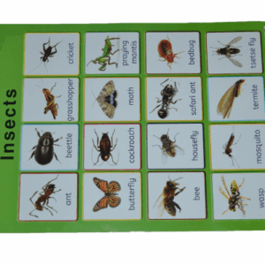 Queenex Insect Chart