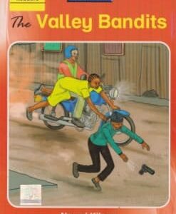 Valley bandits lvl 6 (Queenex)