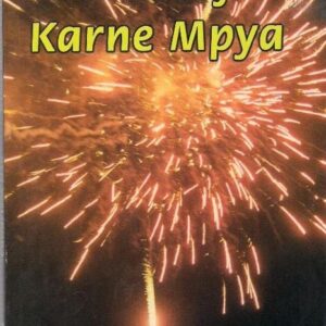 Diwani ya Karne Mpya