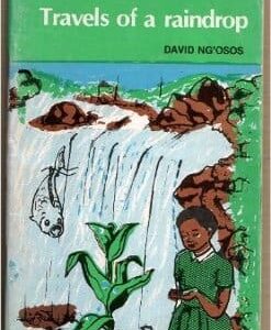 Travels of a raindrop (Phoenix)