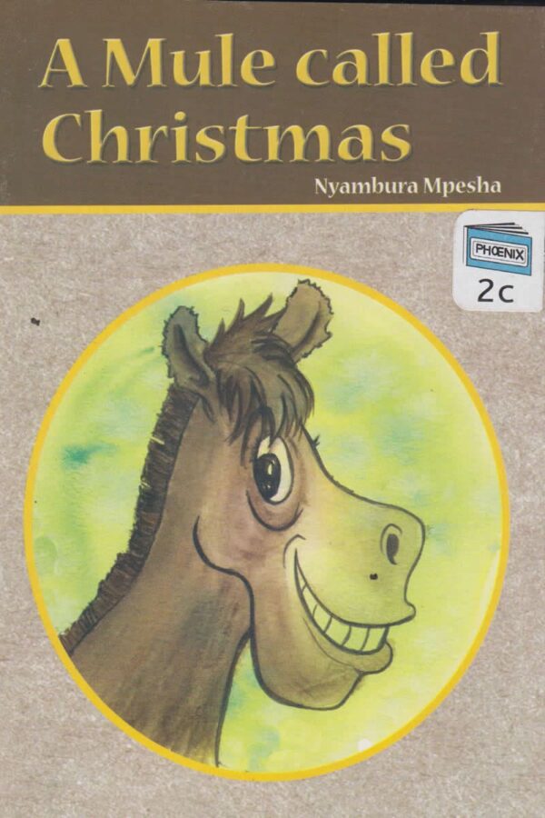 Mule called Christmas (Phoenix)