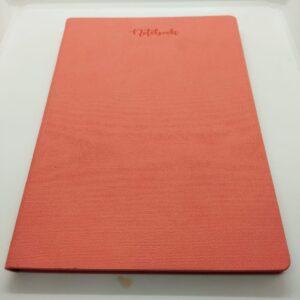 Footprint Notebook B5 Vivid Assorted