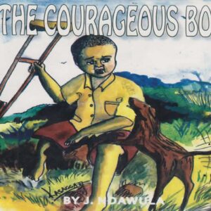 Courageous Boy (Phoenix)